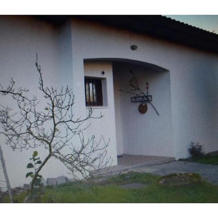 Appartamento In Villa Con Giardino A 300M Dal Lago Maggiore Castelletto sopra Ticino Exterior photo
